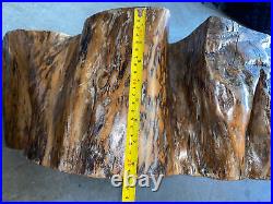 Beautiful 36X 20X8 Petrified Wood Table Top Stone Slab Polished Shine