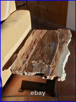 Beautiful 36 Inch Fossil Petrified Wood Table Arizona Chinle Formation