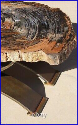 Beautiful 38 Inch Fossil Petrified Wood Table Arizona Chinle Formation