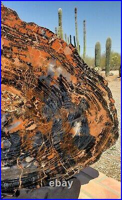 Beautiful 42 Inch Fossil Petrified Wood Red Tiger Stripe Rainbow Table Arizona