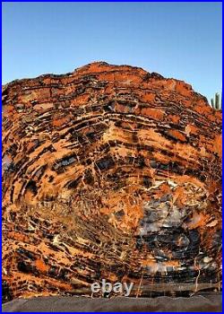 Beautiful 42 Inch Fossil Petrified Wood Red Tiger Stripe Rainbow Table Arizona