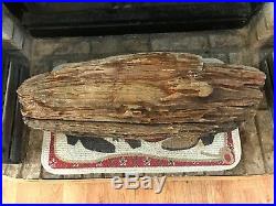 Beautiful Intact Specimen Texas Petrified Wood Log 32L x12D (33Circ) 178 lbs