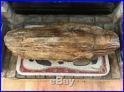 Beautiful Intact Specimen Texas Petrified Wood Log 32L x12D (33Circ) 178 lbs