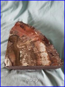 Beautiful Large 14lbs Petrified Wood Bookends with Bark unknown Species
