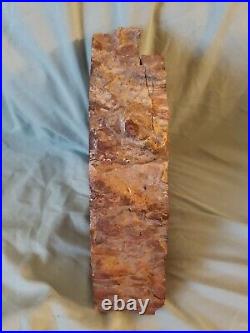 Beautiful Large 14lbs Petrified Wood Bookends with Bark unknown Species