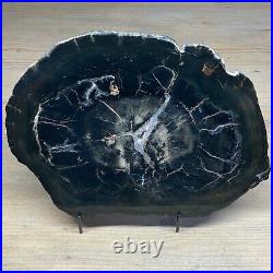 Beautiful Large Crystalized Petrified Wood Slab 11x8 Display Rock Fossil