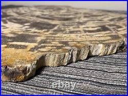 Beautiful Large Petrified Wood Slab