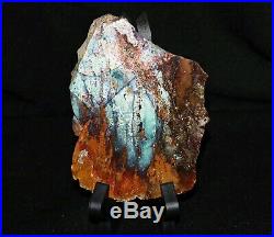 Beautiful Opal Petrified Wood Slab 11,4 oz. 5.5 X 4 X. 50