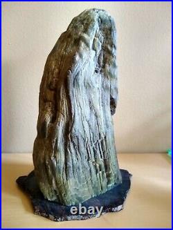 Beautiful Patina Petrified Wood Scholar Stone! Beautiful Display Piece