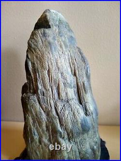 Beautiful Patina Petrified Wood Scholar Stone! Beautiful Display Piece