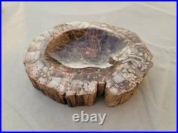 Beautiful Petrified Wood Bowl 7.79lbs Fossilized Tree Healing