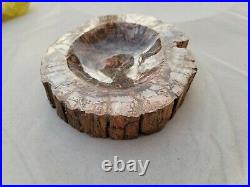 Beautiful Petrified Wood Bowl 7.79lbs Fossilized Tree Healing