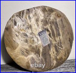 Beautiful Petrified Wood Platter Or Dinner Plate