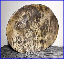 Beautiful Petrified Wood Platter Or Dinner Plate
