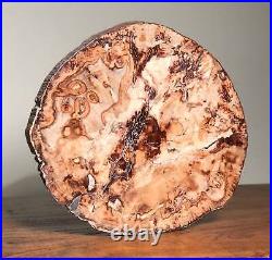 Beautiful Petrified Wood Slab