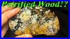 Beautiful_Petrified_Wood_Slabbing_A_Heap_Of_Agatized_Wood_Montana_Moss_Agates_And_Jaspers_01_cmt
