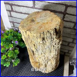 Beautiful Polished Petrified Wood Crystal Slice Madagascar 16kg