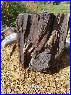 Beautiful Polished Petrified Wood Utah! #w6