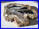 Beautiful_Roost_Large_Petrified_Wood_Cheese_Tray_Board_01_njcr
