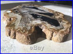 Beautiful Roost Large Petrified Wood Cheese Tray Board
