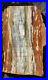 Beautiful_Very_Large_26_Inch_Fossil_Petrified_Wood_Red_Rainbow_Plank_Cut_Arizona_01_ozm