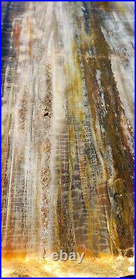Beautiful Very Large 26 Inch Fossil Petrified Wood Red Rainbow Plank Cut Arizona