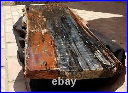Beautiful Very Large 50 Inch Fossil Petrified Wood Red Rainbow Cocktail Table