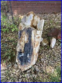 Big Beautiful Petrified Wood Log 130+ lbs Landscaping Piece Slabs Yard Art