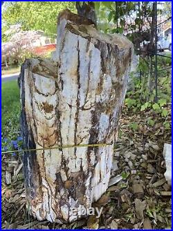 Big Beautiful Petrified Wood Log 130+ lbs Landscaping Piece Slabs Yard Art