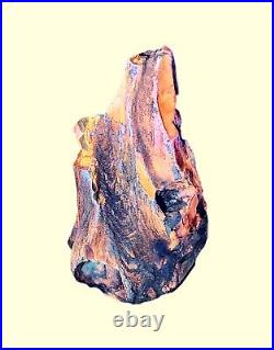 Black opal filled fossilized wood UV collectable or double healing home decor
