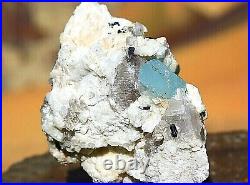 Blue Aquamarine / Beryl Superb Crystals in Albite Matrix Mineral Specimen 166g
