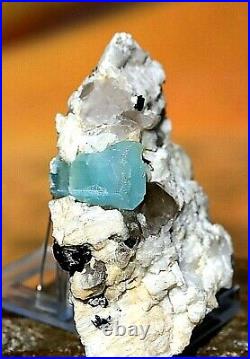 Blue Aquamarine / Beryl Superb Crystals in Albite Matrix Mineral Specimen 166g