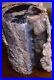 Blue_Forest_Petrified_Wood_Botryoidal_Bubbles_Galore_8_lbs_Polished_Log_01_hl