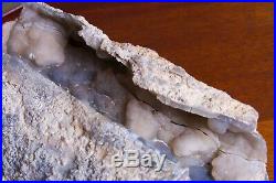 Blue Forest Petrified Wood Botryoidal Bubbles Galore 8 lbs Polished Log