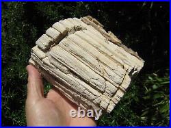 Blue Forest Petrified Wood Collectible Fossil Specimen Decor Wyoming 5.9lb 4Dia