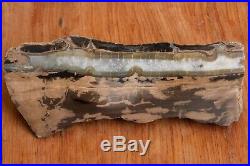 Blue Forest Petrified Wood Plank Cut Log Polished -Quartz Crystals Free Ship