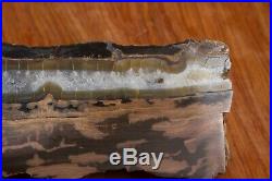 Blue Forest Petrified Wood Plank Cut Log Polished -Quartz Crystals Free Ship