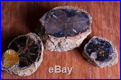 Blue Forest Petrified Wood Trio 3 pieces Gold Calcite, Blue, Rings Nice
