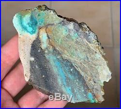 Blue Opalized Opal Fossil Petrified Wood Copper Mineral Specimen Crystal Stone