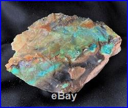 Blue Opalized Opal Fossil Petrified Wood Copper Mineral Specimen Crystal Stone