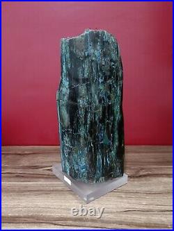 Blue petrified wood opalized polished with base 7290gr 12x15x30cm (25)