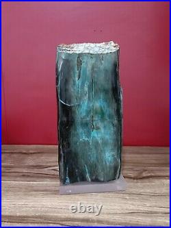 Blue petrified wood opalized polished with base 7290gr 12x15x30cm (25)