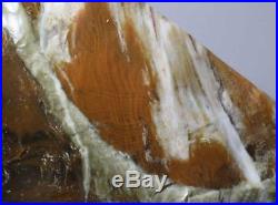 Boron California Agatized Petrified Wood polished 4 lb 11 oz