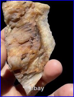 Botryoidal Chalcedony Opal Pink Blue Orange Petrified Opalized Wood Nodule RARE