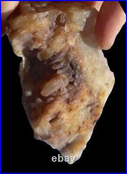 Botryoidal Chalcedony Opal Pink Blue Orange Petrified Opalized Wood Nodule RARE