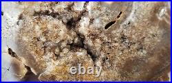 Bug Bored Petrified wood New Mexico Lots Of Frass Quartz Crystal Polished slab