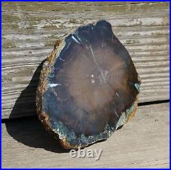 CHROMIUM GREEN Petrified Wood Conifer withBlue & White Agate 3.9/99mm- Gowke, ZMW