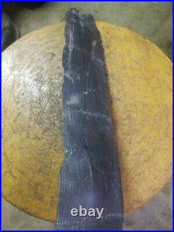 Calamite Fossil Horsetail 21 Inches Long Petrified Wood