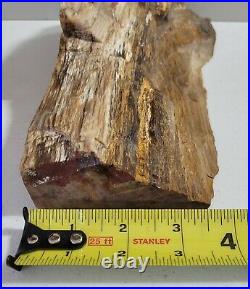 California Petrified Wood Large Slab
