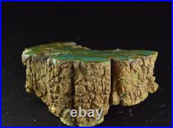 Chromium Petrified Wood, Gokwe, Zimbabwe, 64x41x26mm